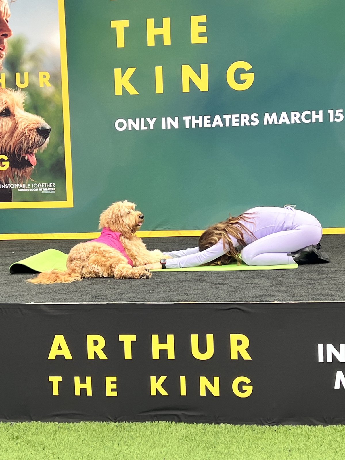 Peach the Goldendoodle holding a down on a yoga mat beside Lauren Pena in child's pose on the Arthur the King stage