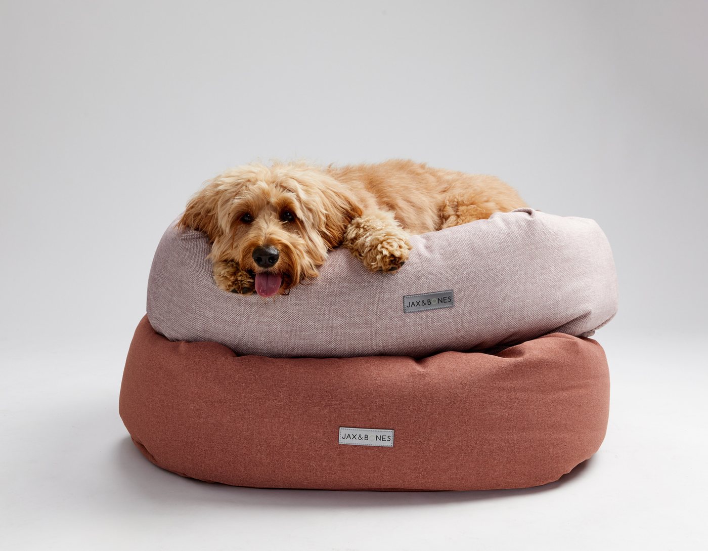 Peach the Goldendoodle resting her chin on stacked blush and terracotta Jax and Bones donut beds
