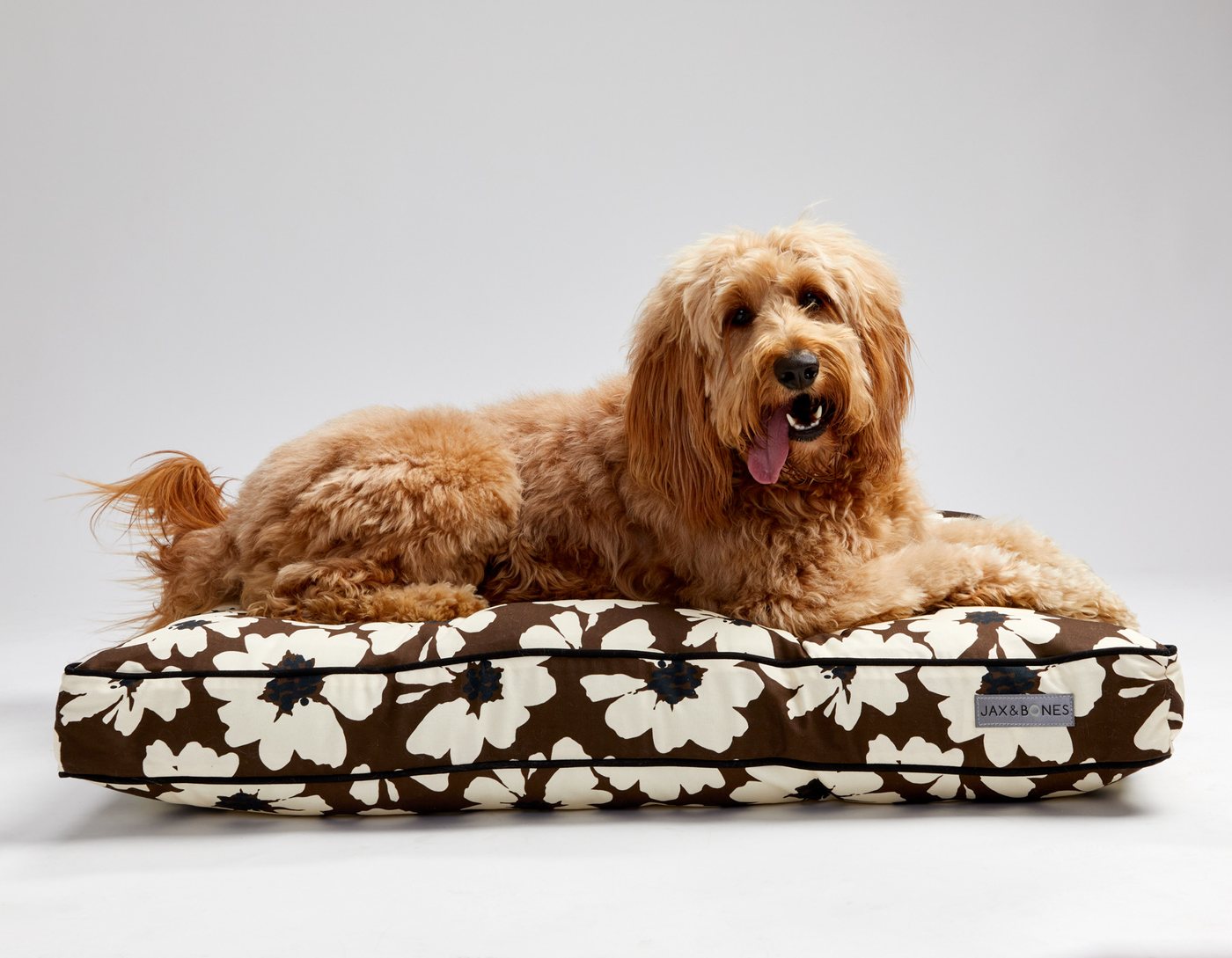 Peach the Goldendoodle lying on a brown and cream floral Jax and Bones pillow bed