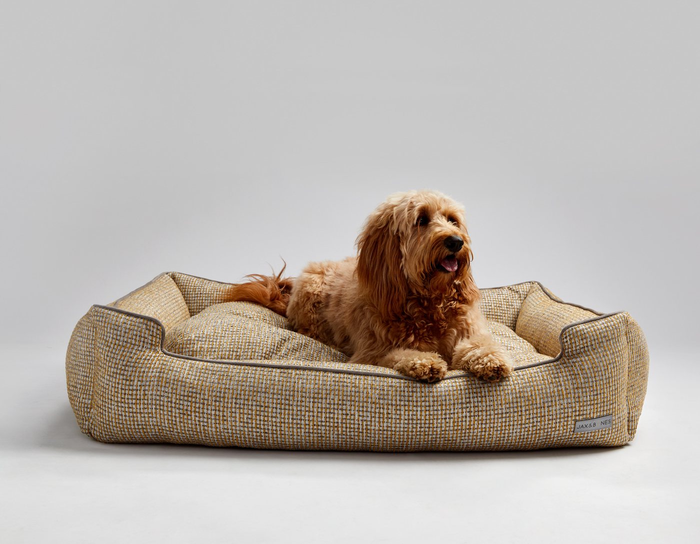 Peach the Goldendoodle on a tweed Jax and Bones lounge bed