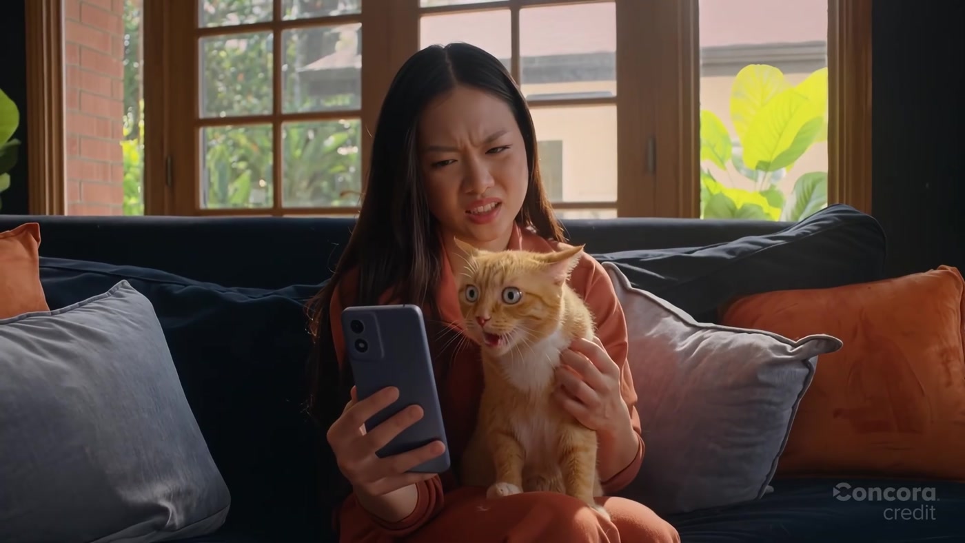 Morrison the ginger tabby cat held up close in the Concora Credit commercial