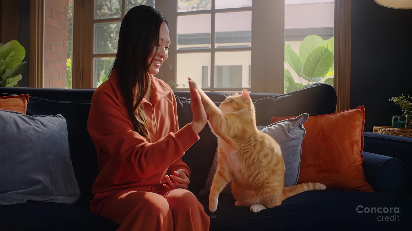 Morrison the cat in the actor's lap in the Concora Credit commercial
