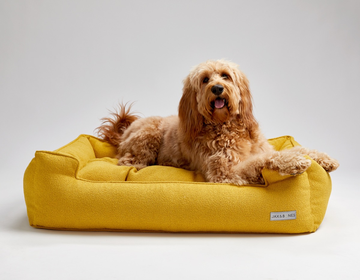 Peach modeling a Jax and Bones bed