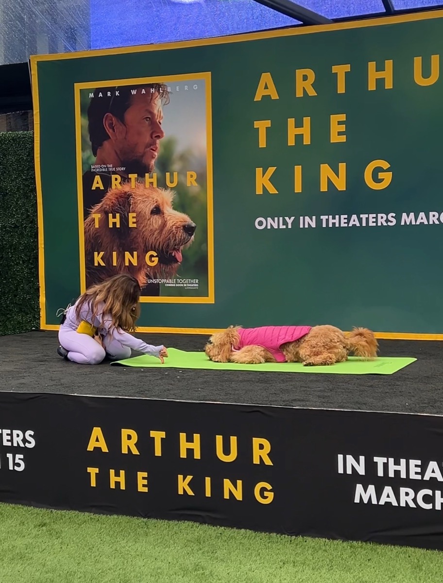 Peach performing at the Arthur the King premiere