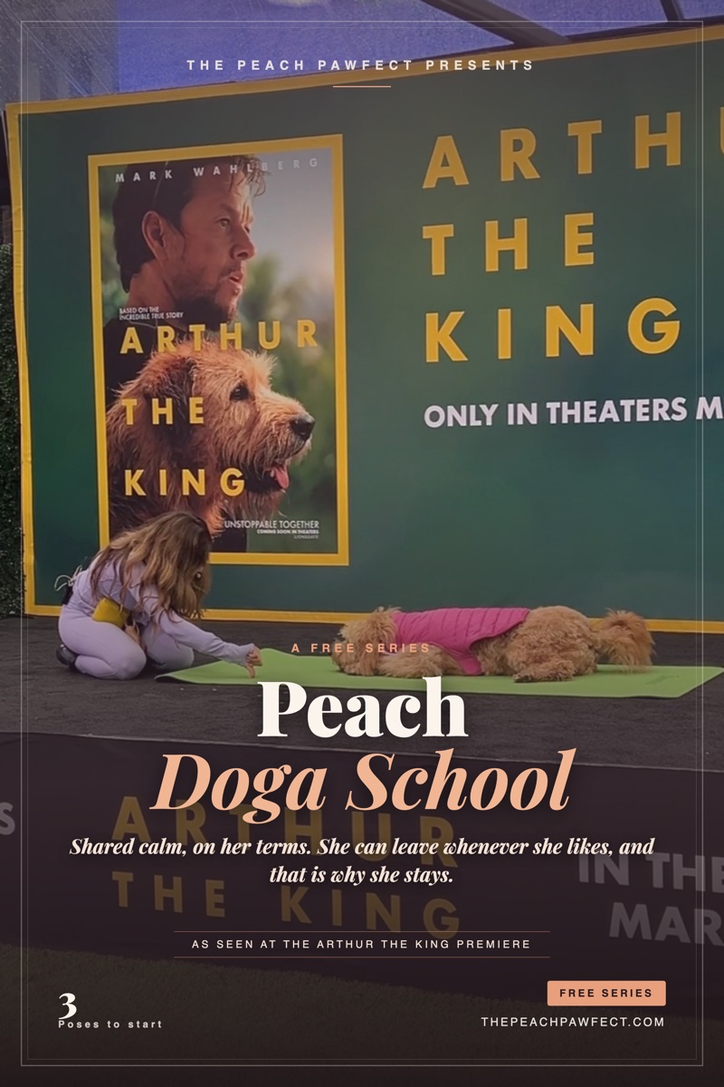 Lauren and Peach practising dog yoga, Doga School poster