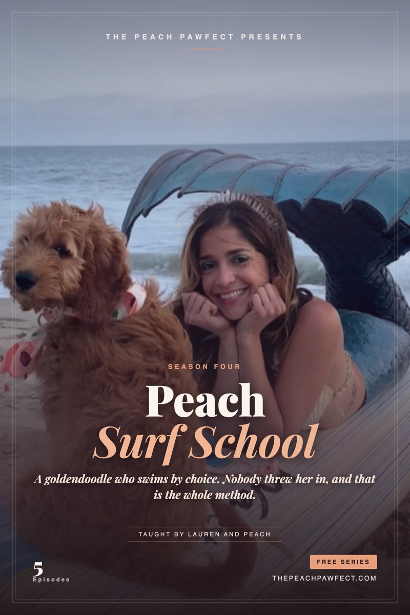 Peach the Goldendoodle in the ocean, Surf School poster
