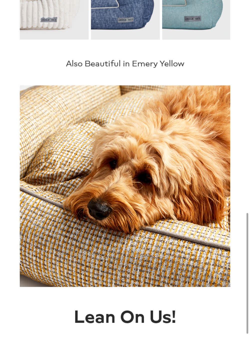 Peach the Goldendoodle resting in the Jax and Bones Emery Yellow Lounge Bed