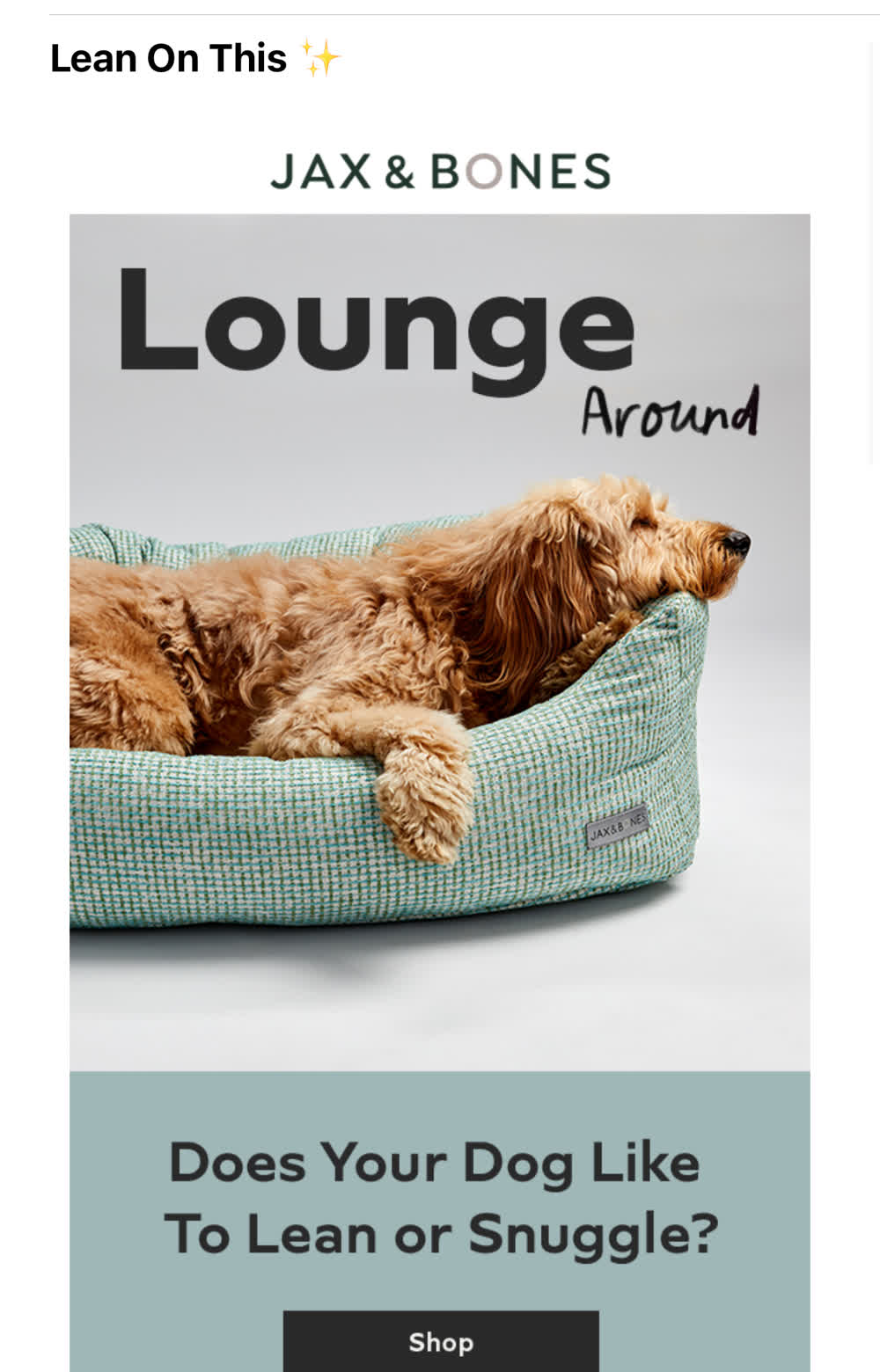 Peach the Goldendoodle in the Jax and Bones Lounge Around campaign, lying in a mint green Lounge Bed